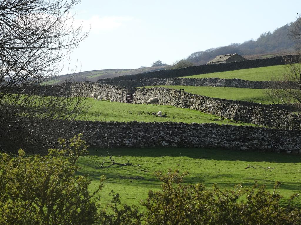 Thornsgill House Bed & Breakfast Askrigg Bilik gambar
