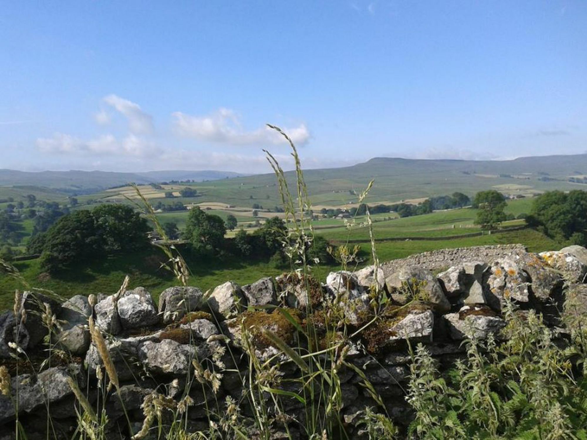 Thornsgill House Bed & Breakfast Askrigg Luaran gambar